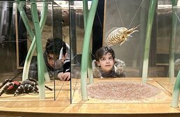 museonder